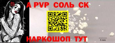 стаф Гатчина