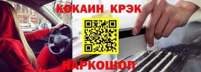 стаф Гатчина