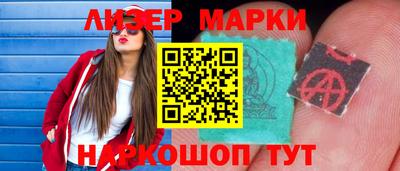 стаф Гатчина