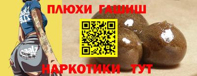 стаф Гатчина