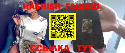 стаф Гатчина
