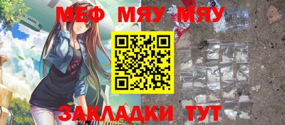 стаф Гатчина