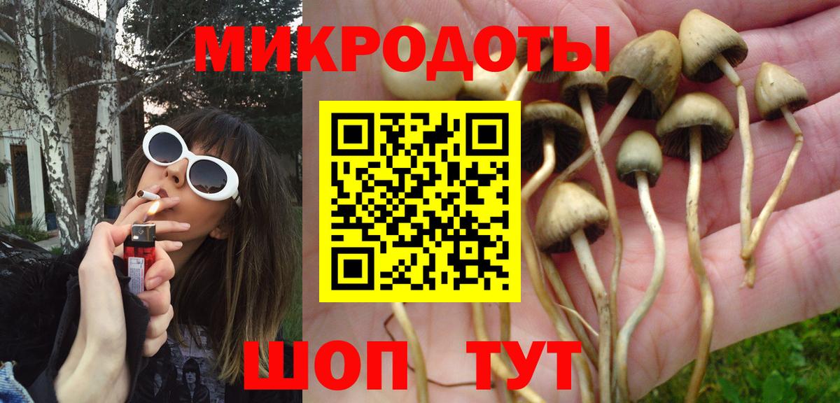 Псилоцибиновые грибы прущие грибы Гусиноозёрск